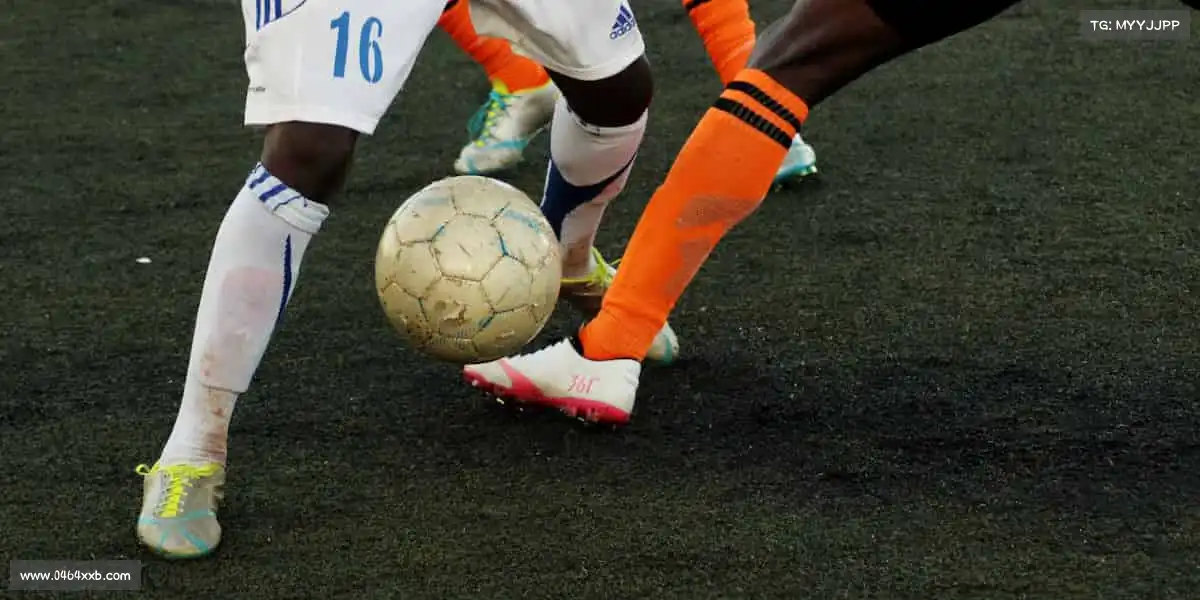 华体会官方💪突破极限,你的潜能远不止于此!